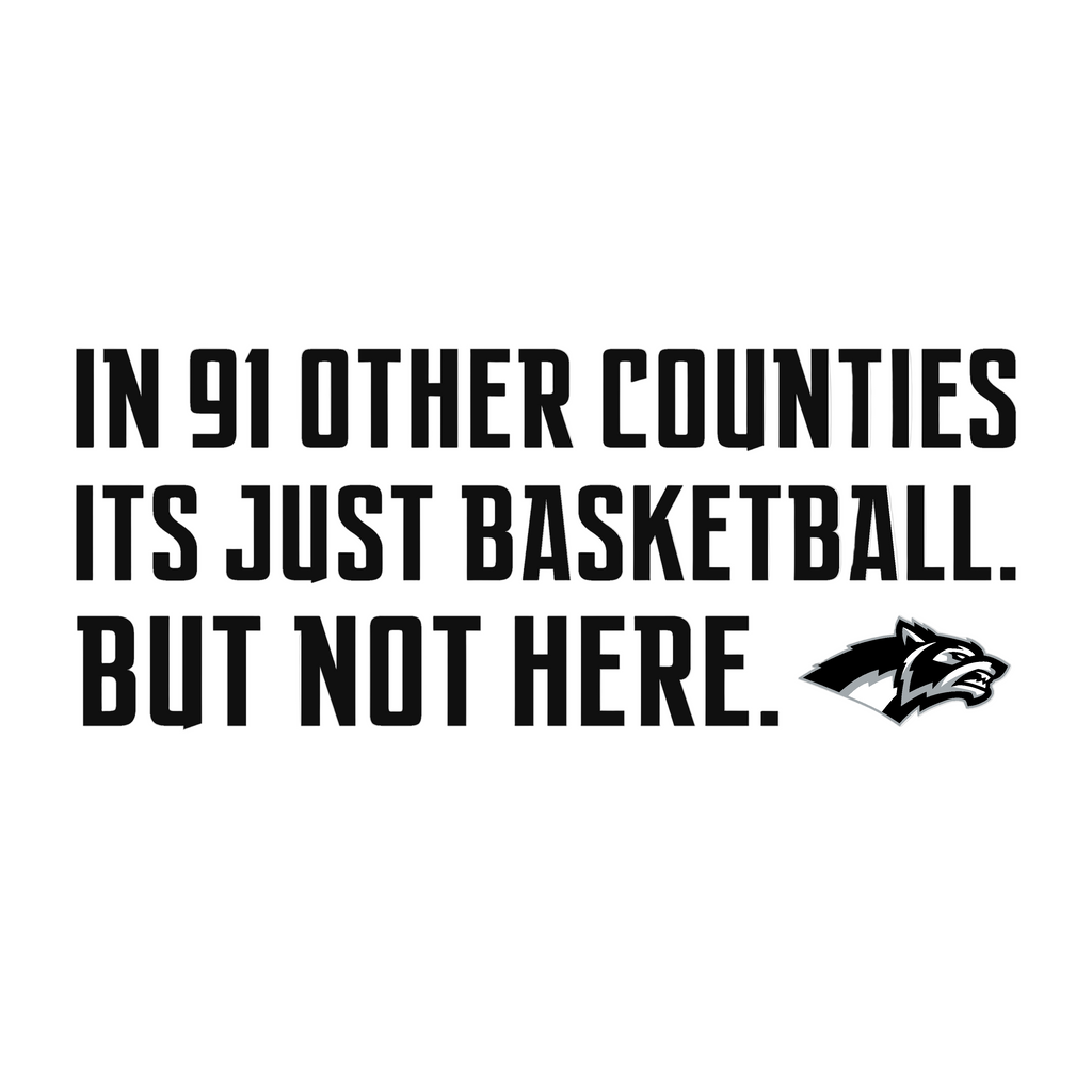 Parke Heritage Basketball "91 one counties"