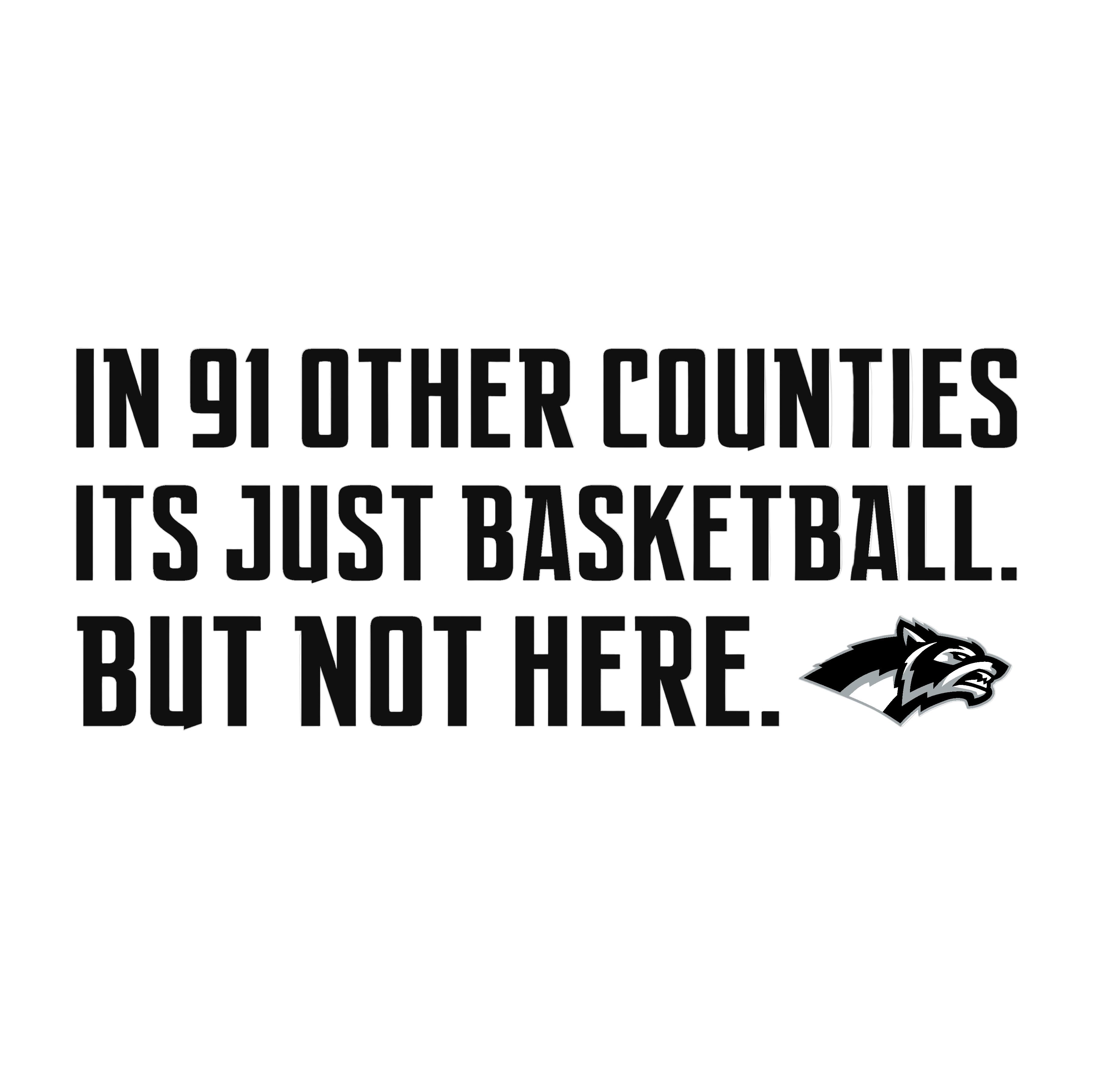 Parke Heritage Basketball "91 one counties"